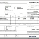 CUSTOMS DOCS